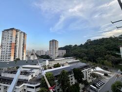 Blk 32 Telok Blangah Rise (Bukit Merah), HDB 3 Rooms #587847201